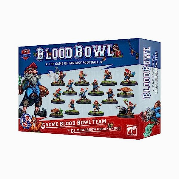 99120999017_BBGnomeTeam06